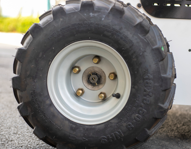 MS-S460 BRIGGS AND STRATTON 